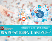 探索有效途徑,打造新型能力——棟方股份兩化融合工作亮點(diǎn)紛呈